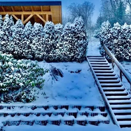 Vakantiehuis Spacious Holiday In With Terrace Winterberg