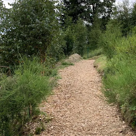 Spacious Holiday In With Terrace Winterberg