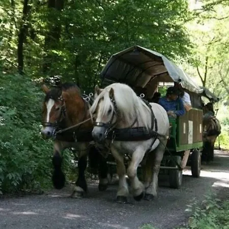 Spacious Holiday In With Terrace Vakantiehuis *