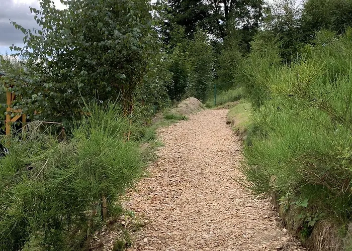 Spacious Holiday In With Terrace Winterberg