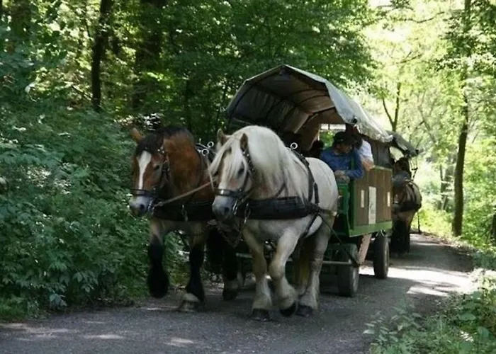 Spacious Holiday In With Terrace Vakantiehuis *